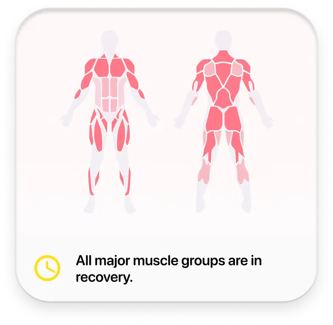 Muscle Recovery Tracker